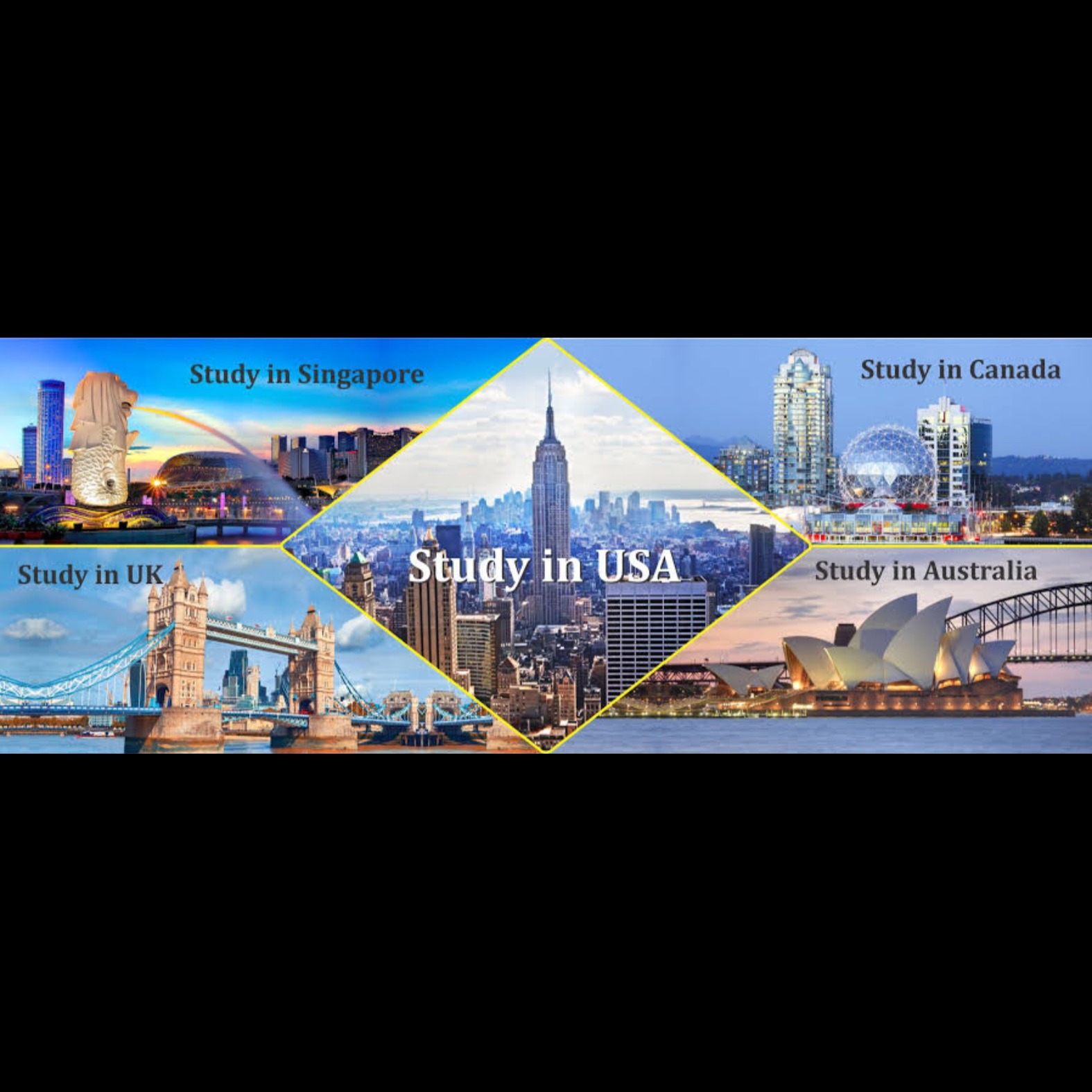 Study MBBS