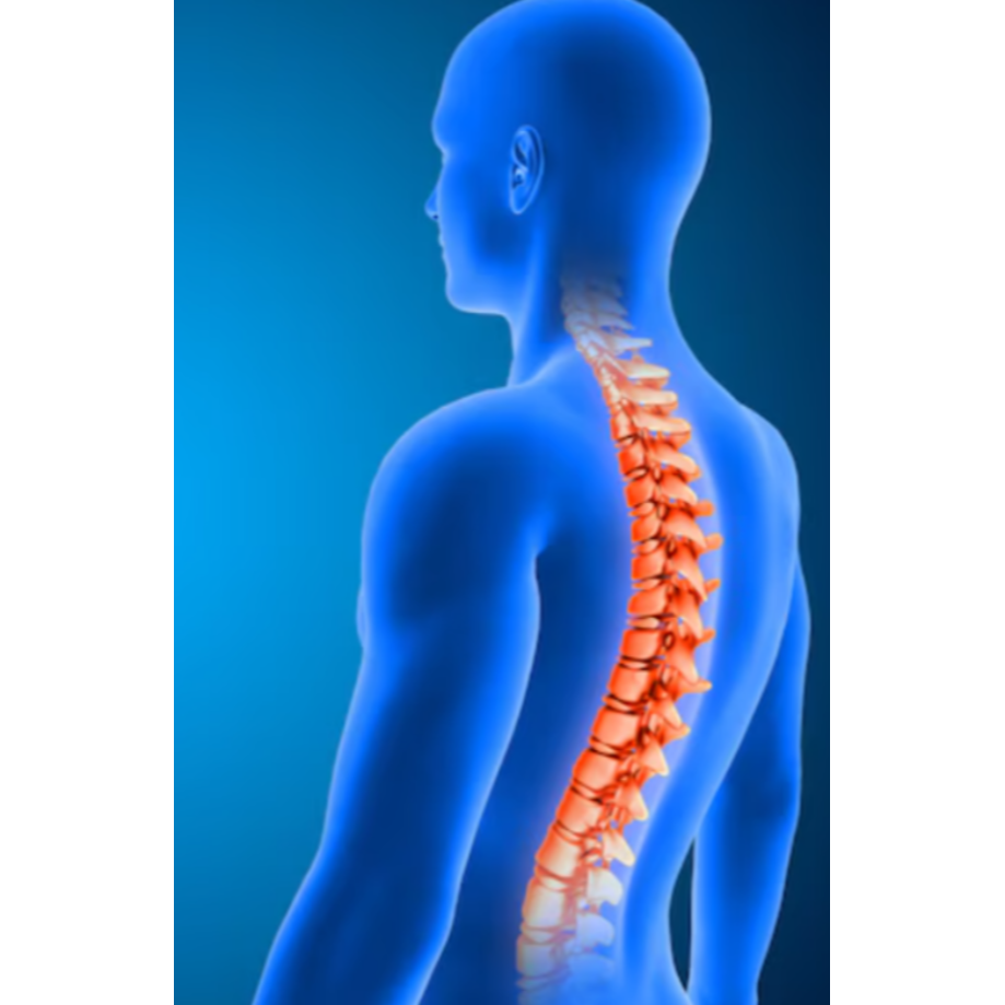 Spine Surgeon in Jaipur for Chronic and Acute Spin... main image