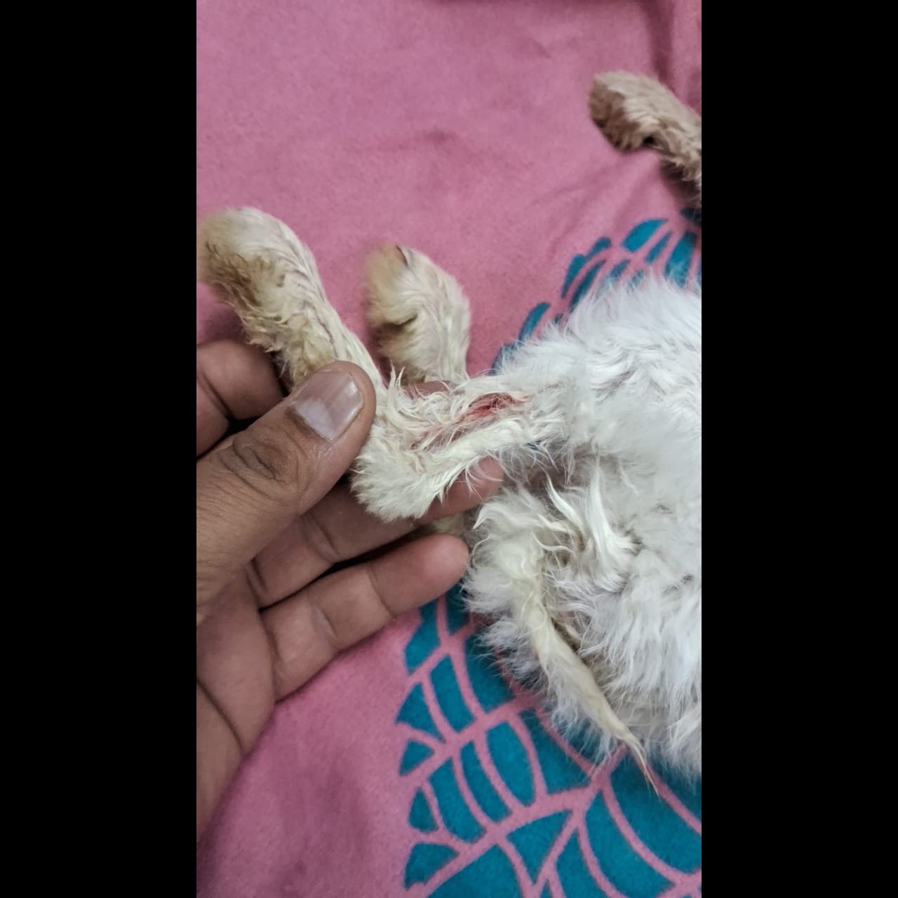 update image