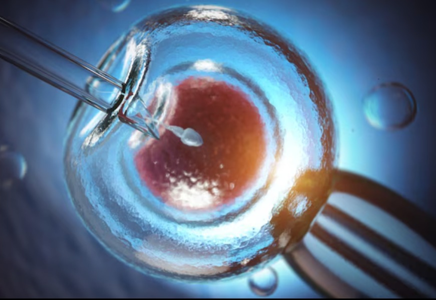 Best IVF Clinic in Chennai – Personalized Fertilit... main image