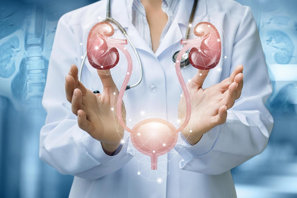 Urologist in Chennai – Advanced Urology Care Wi... main image
