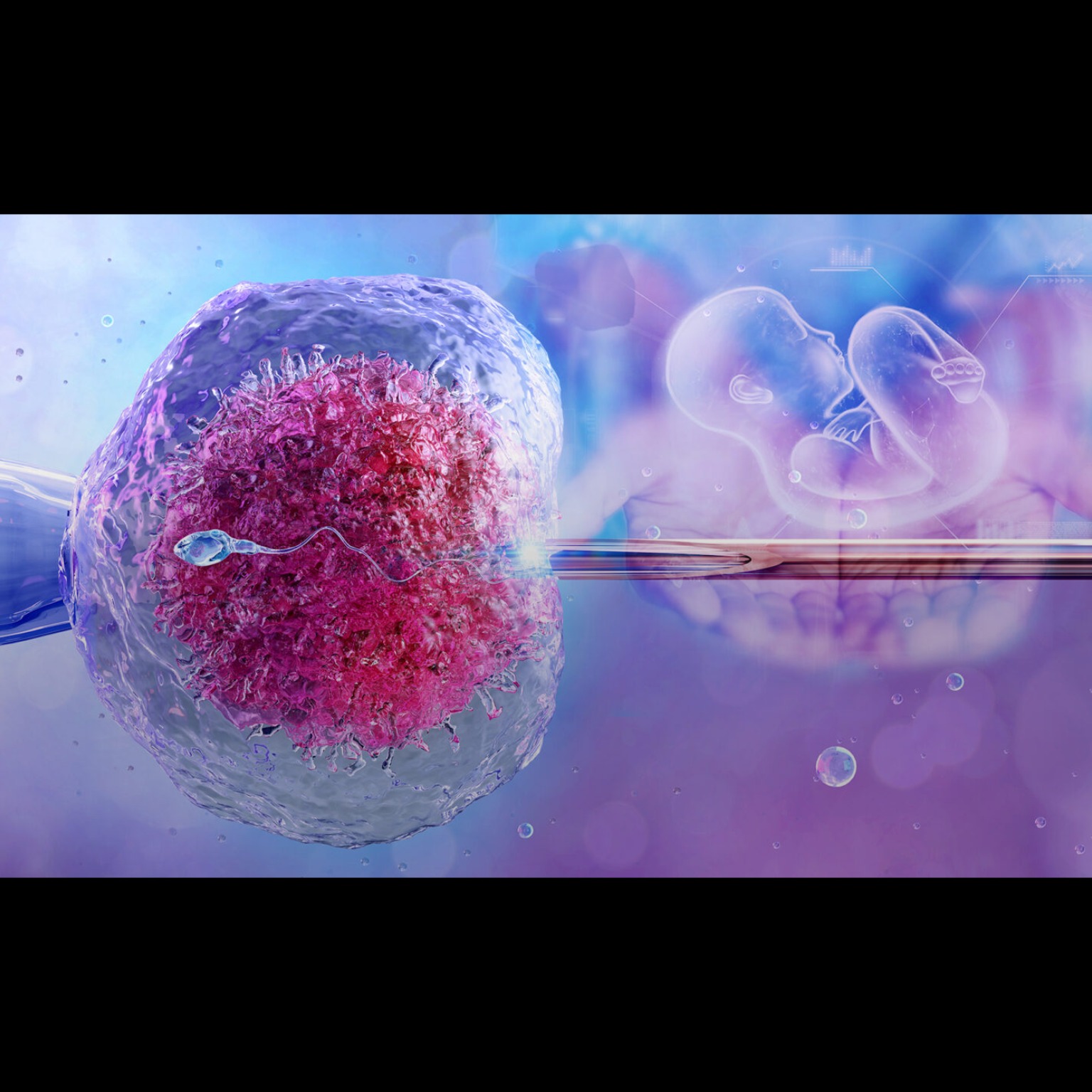 In Vitro Fertilisation and Embryo transfer

In Vit... main image