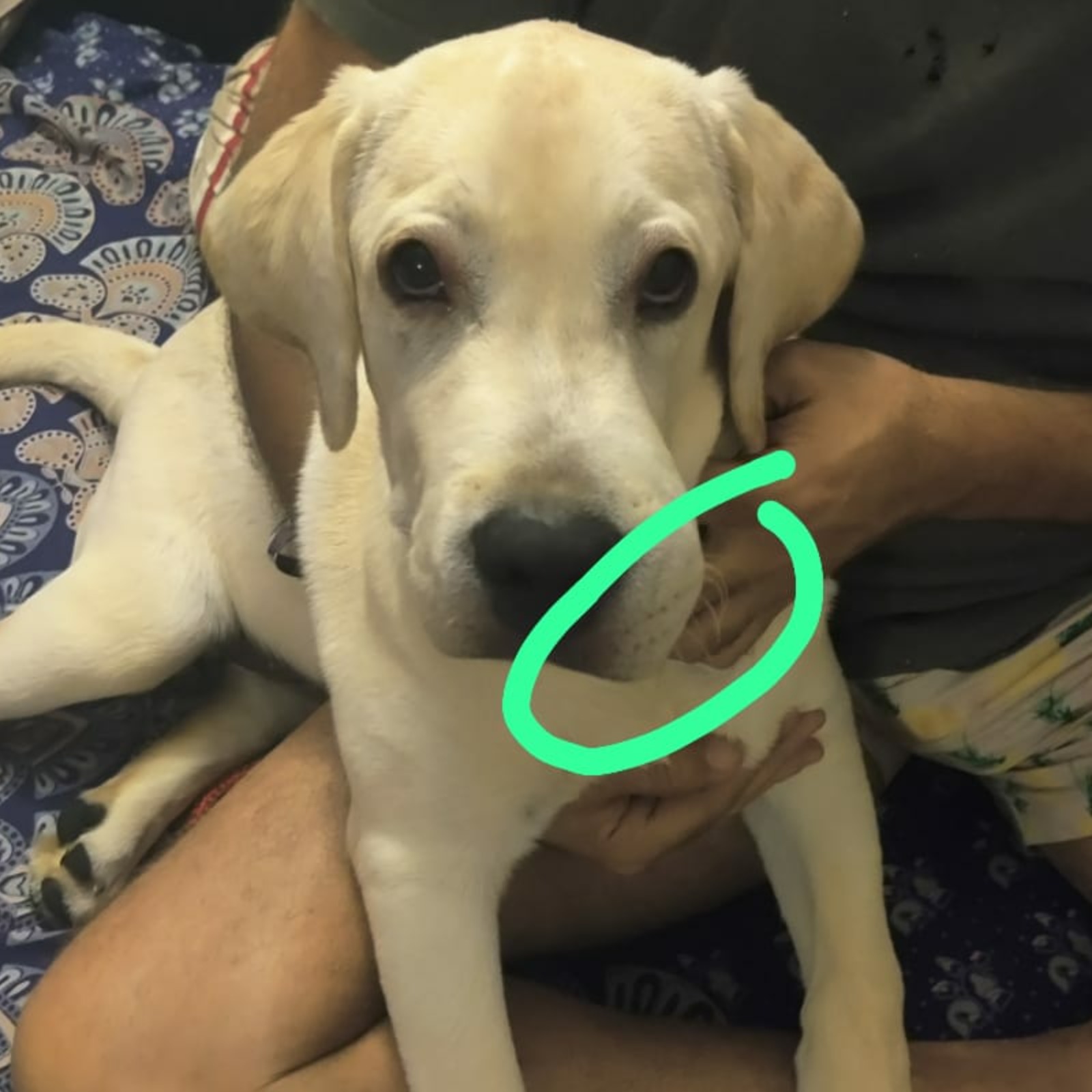 update image