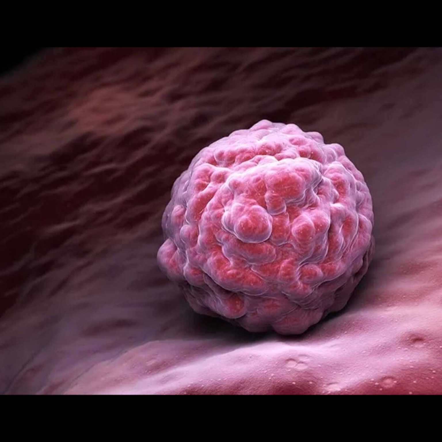 Blastocyst Culture

Blastocyst Culture is an advan... main image