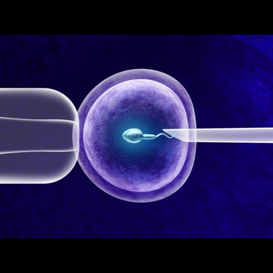 Laser Assisted Hatching System


The outer coverin... main image