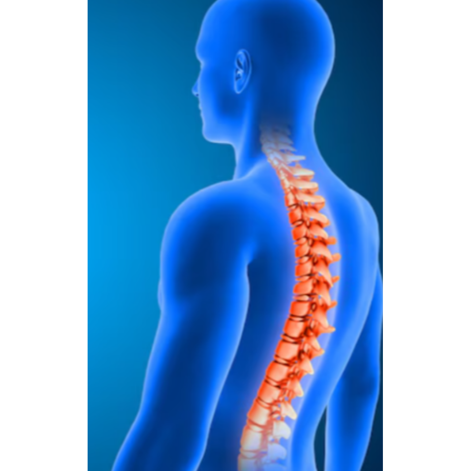 Minimally Invasive Spine Surgeon in Jaipur for Pai... main image