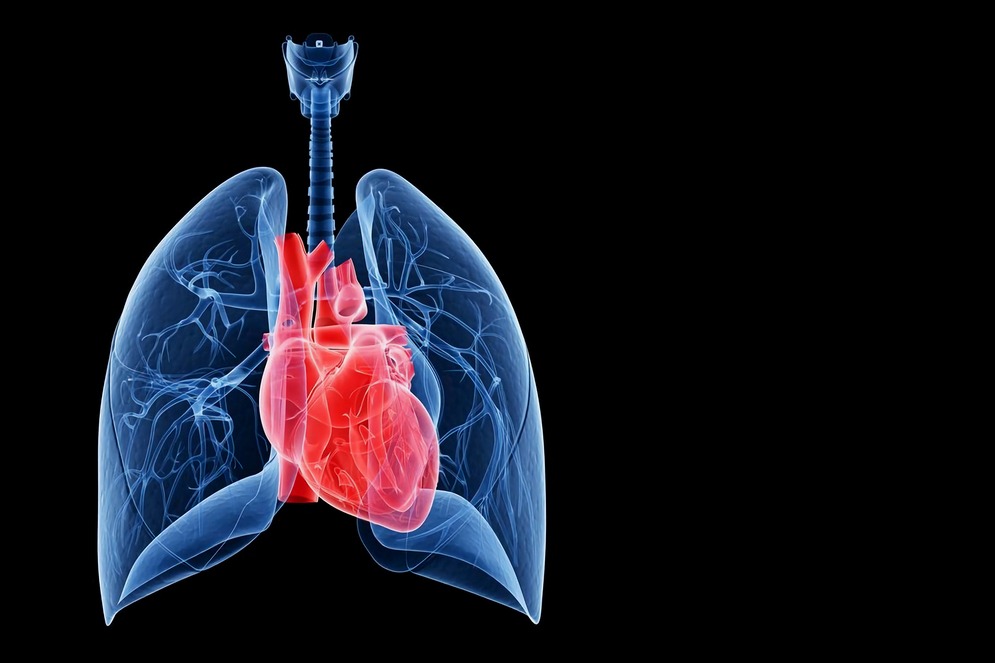 Heart and Lung Diseases in New Delhi – Complete... main image