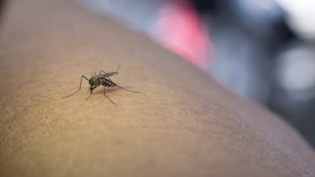 Chikungunya Treatment in Nagpur with Pain Relie... main image