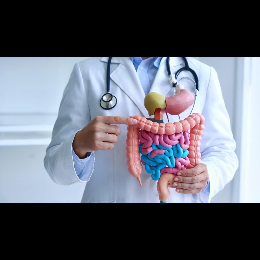 Trusted Gastroenterology Services in Wadala Dig... main image