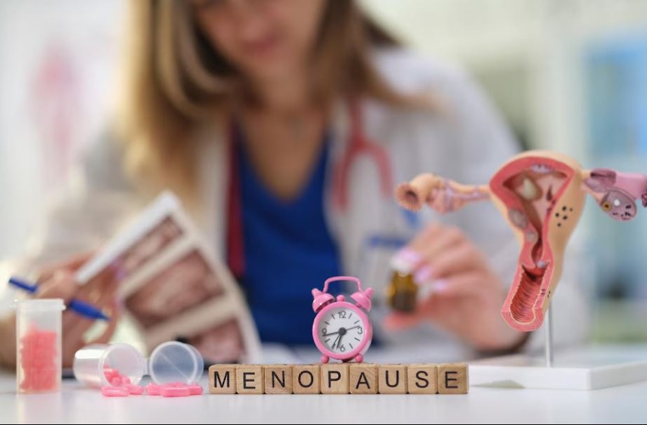Post Menopause Problem Solutions in Lohegaon, P... main image