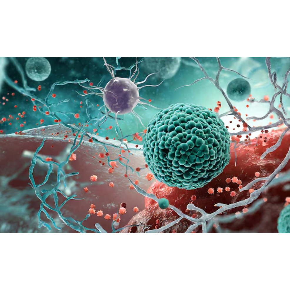Trusted Medical Oncology Services in Vashi Mumbai ... main image