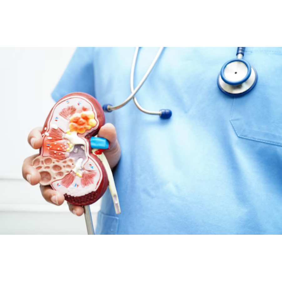 Best Kidney Doctor In Jaipur – Comprehensive Re... main image