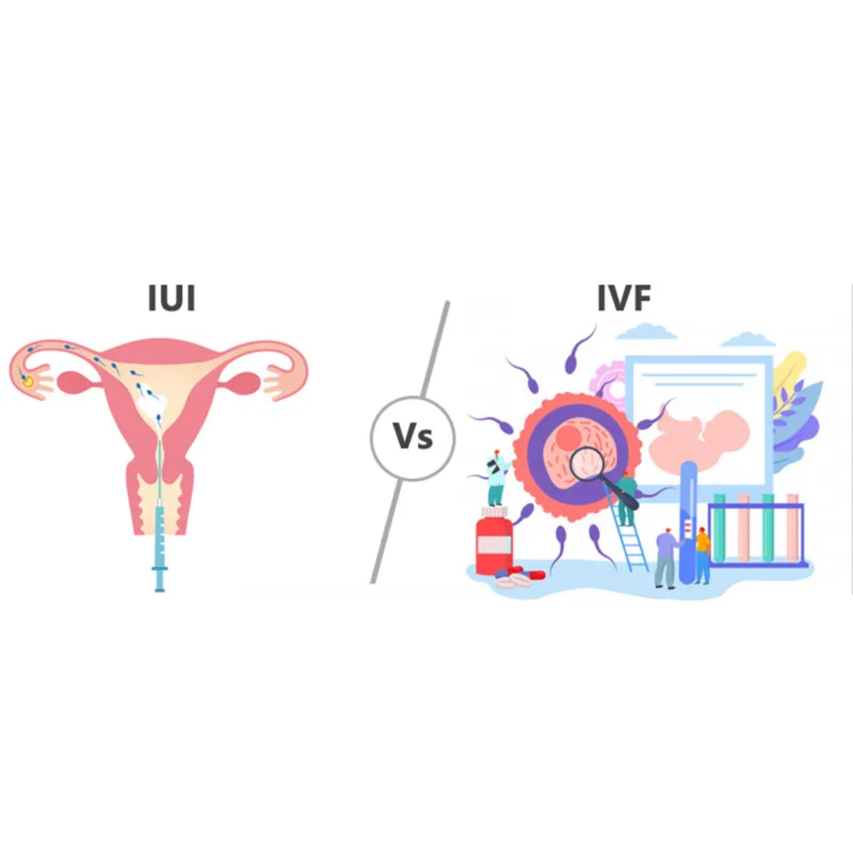 Intrauterine Insemination (IUI) vs. In Vitro Ferti... main image