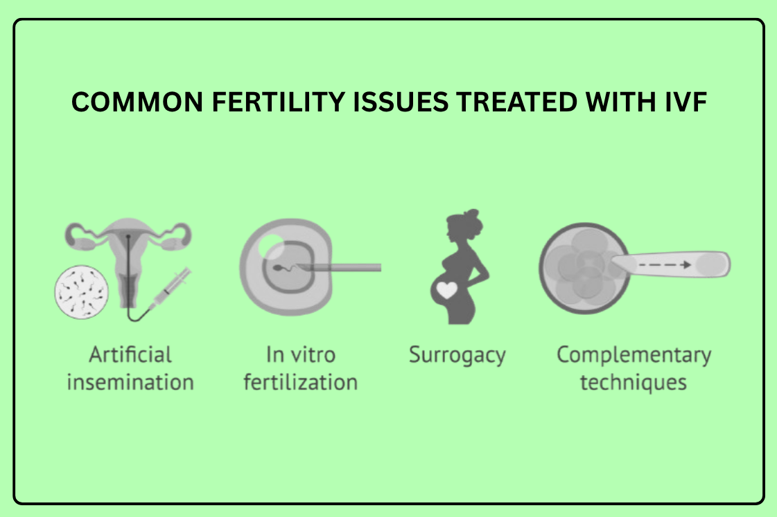 Common Fertility Issues Treated with IVF
In-vitro ... main image
