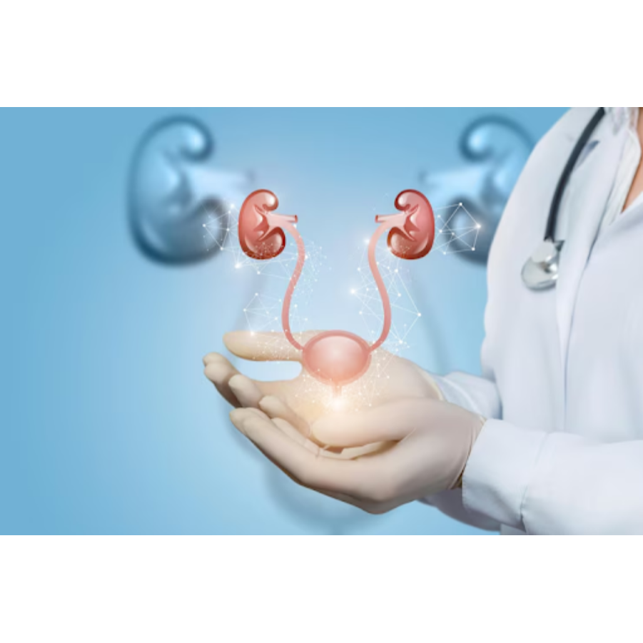 Best Urologist In Rajapark, Jaipur – Reliable U... main image