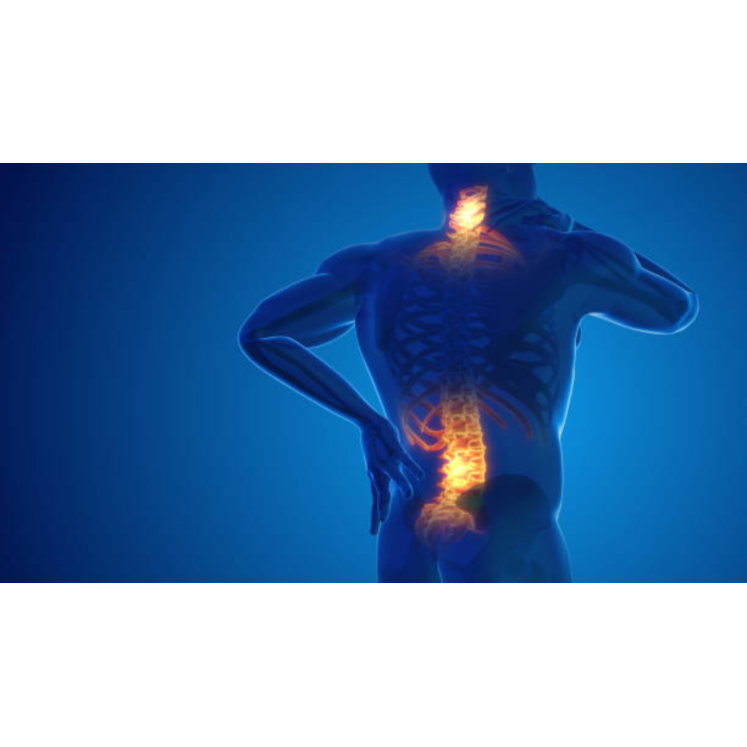 Chronic Joint And Back Pain Care In New Delhi –... main image