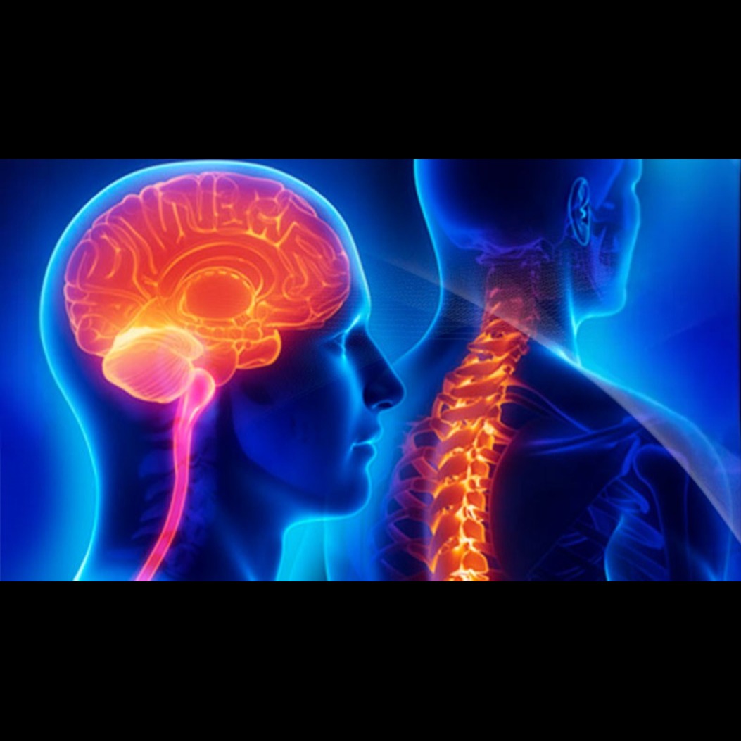 Advanced Brain and Spine Care in Dombivli Searchin... main image