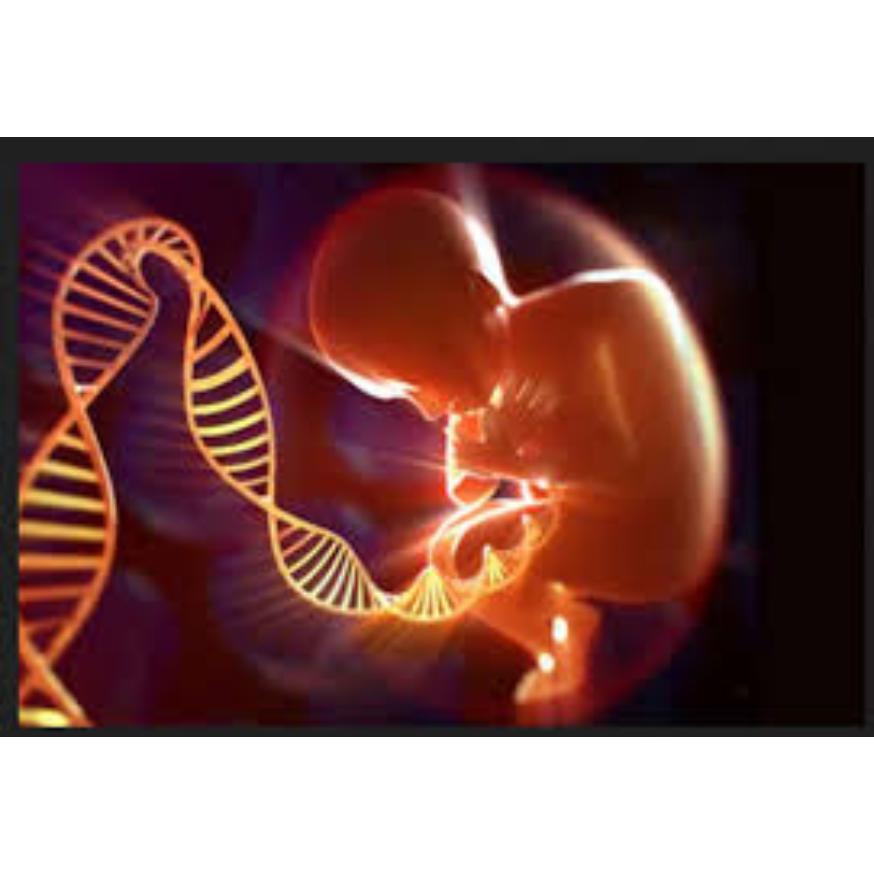 Fetal Medicine Specialist in Pune – Accurate As... main image