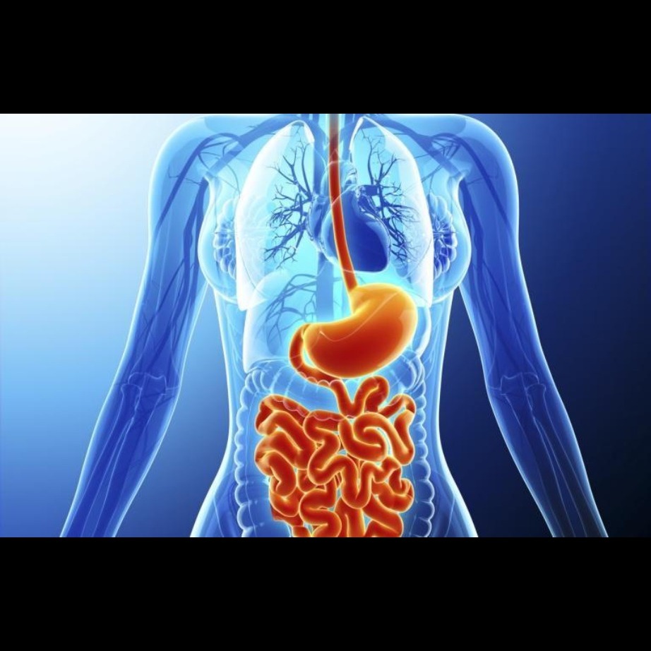 Gastroenterologist in Chinchwad A gastroenterologi... main image