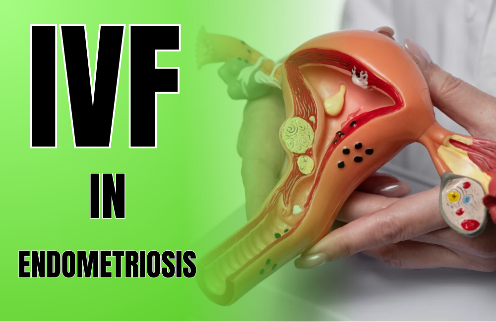 Fertility hospital in RS Puram IVF & Endometriosis... main image