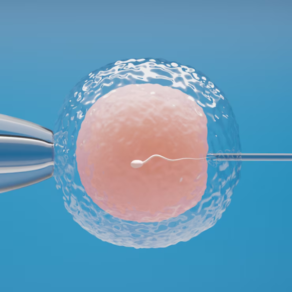 IVF Specialist in Pune – Tailored Fertility Sol... main image