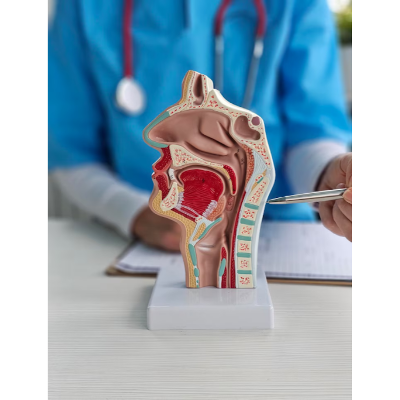 ENT Services in Pimpri for Ear, Nose, and Throa... main image