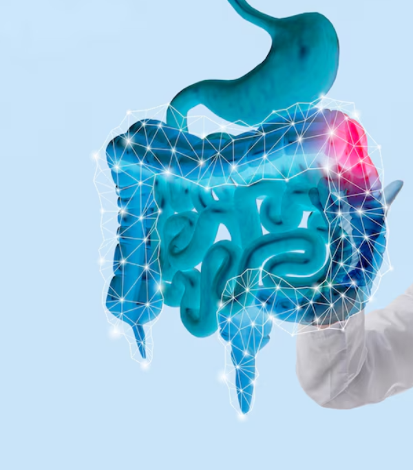 Gastroenterology and Digestive Care Excellence in ... main image