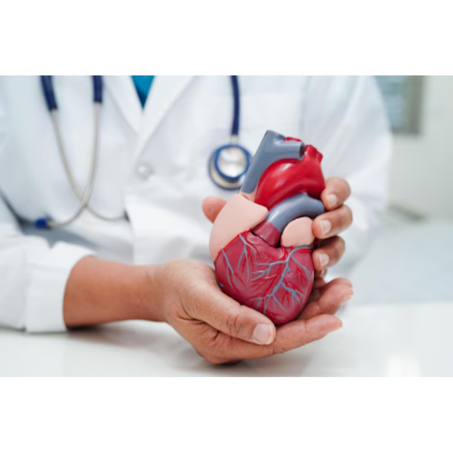Cardiologist in Dombivli – Comprehensive Heart Car... main image