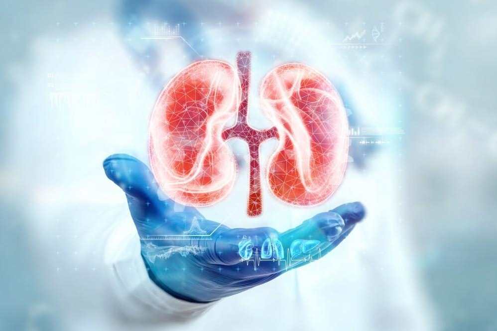 Best Kidney Transplant Doctor In Jaipur – Lifes... main image