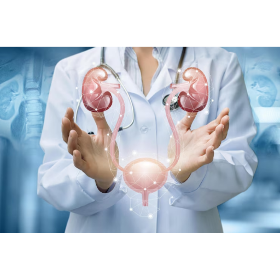 Urologist in Adambakkam – Personalized Solution... main image
