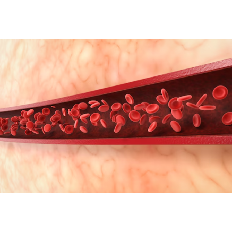 Haematology in Dombivli – Specialized Blood Disord... main image