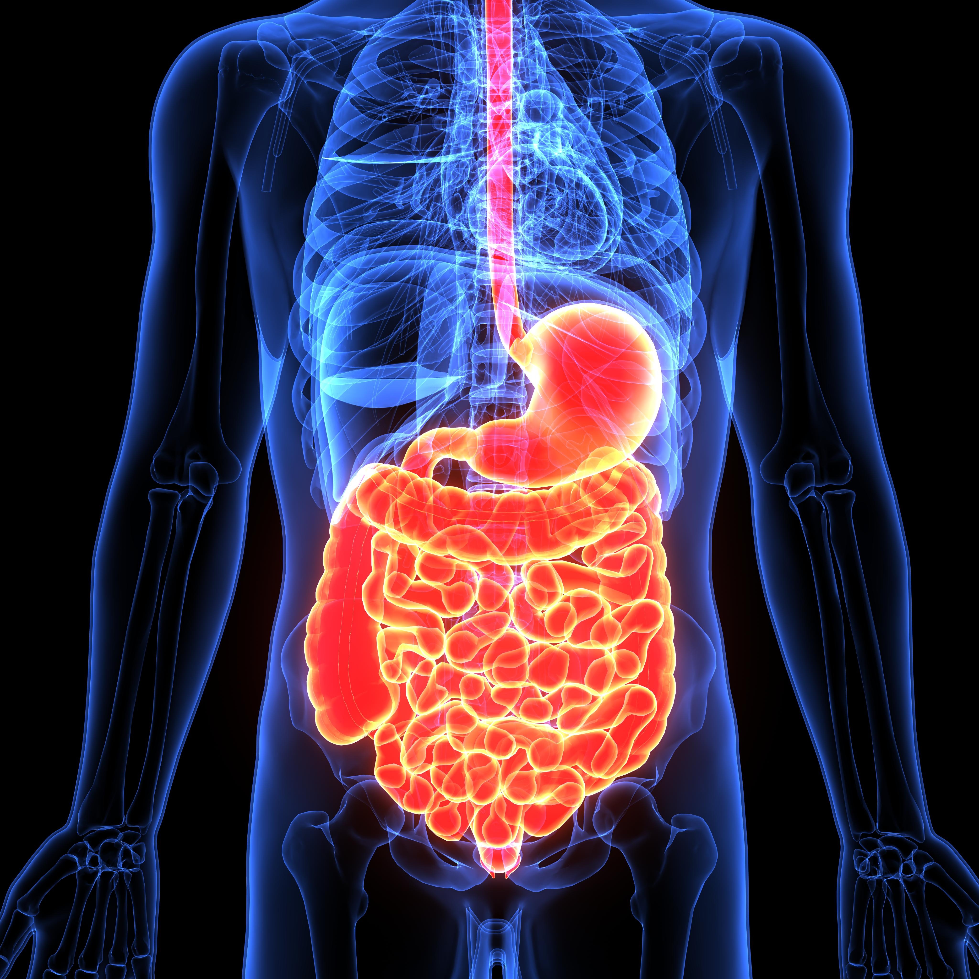 Expert Medical Gastroenterology Services in Che... main image