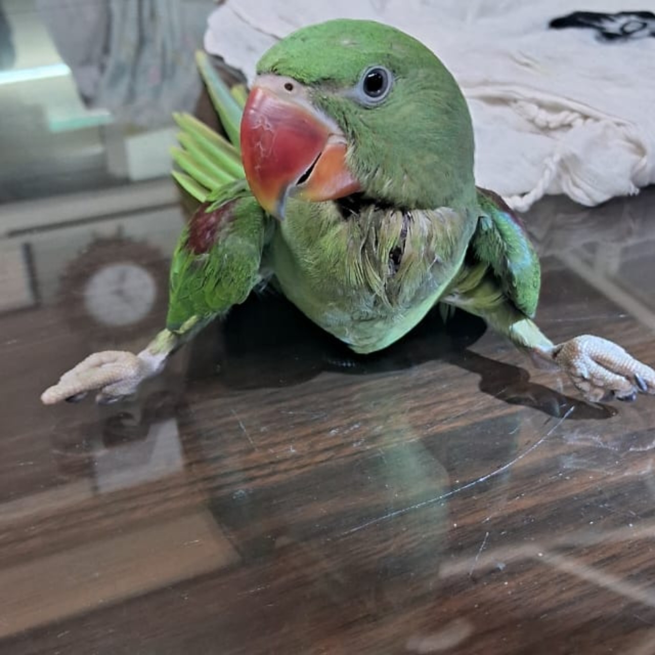 update image