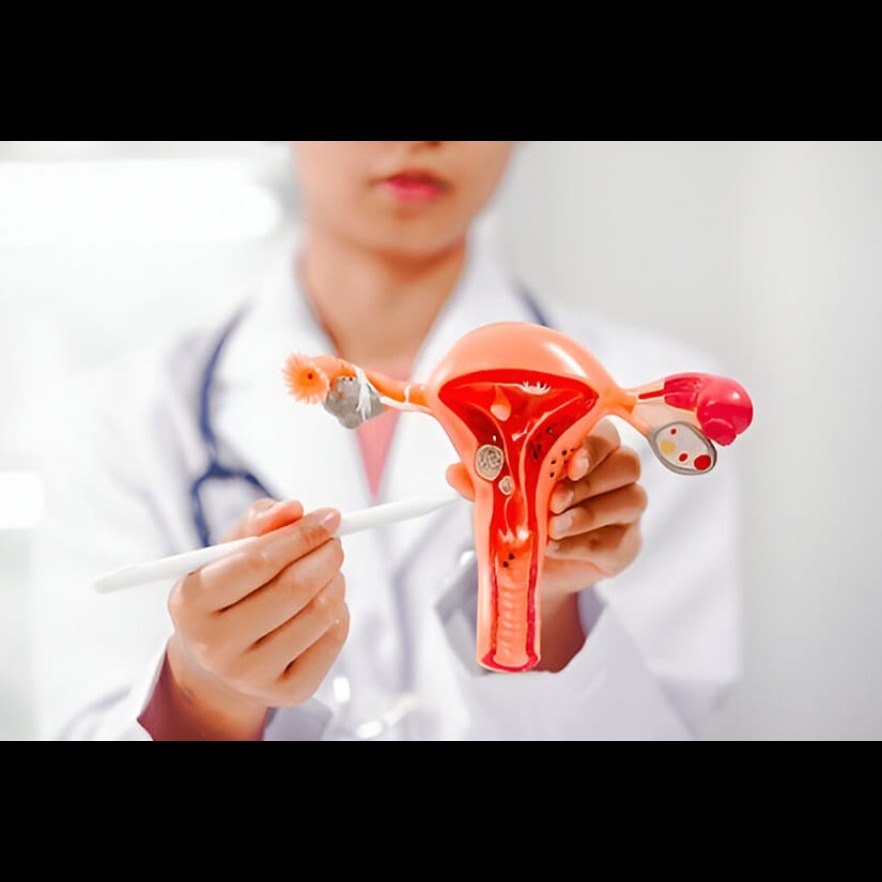 Genesis IVF Coimbatore ICSI IUI services IVF & End... main image