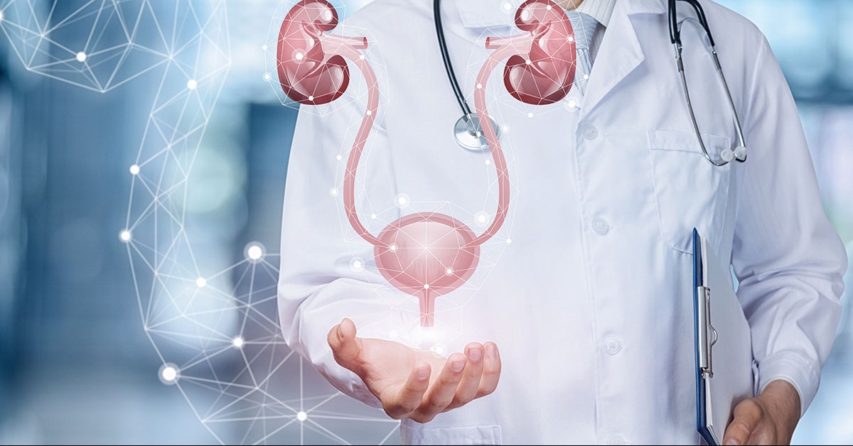 Urologist in Pimpri Chinchwad – Kidney Stones, ... main image