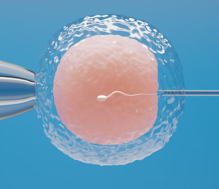 Expert IVF Doctor in Coimbatore – Where Innovation... main image