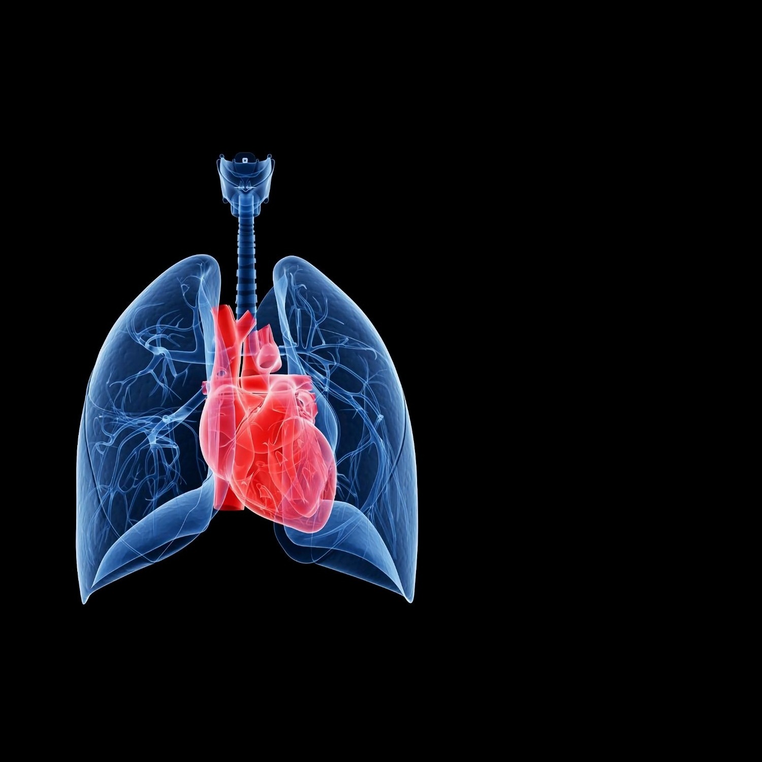Heart And Lung Disease Care In New Delhi – Adva... main image