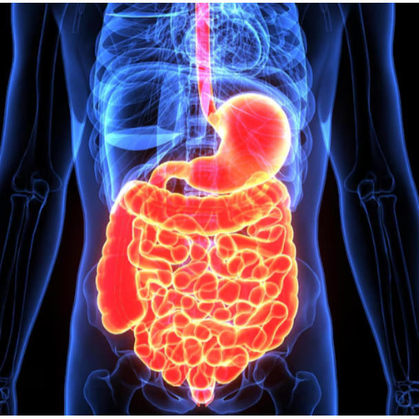 Gastroenterology Care in Nashik Medinova Super Spe... main image