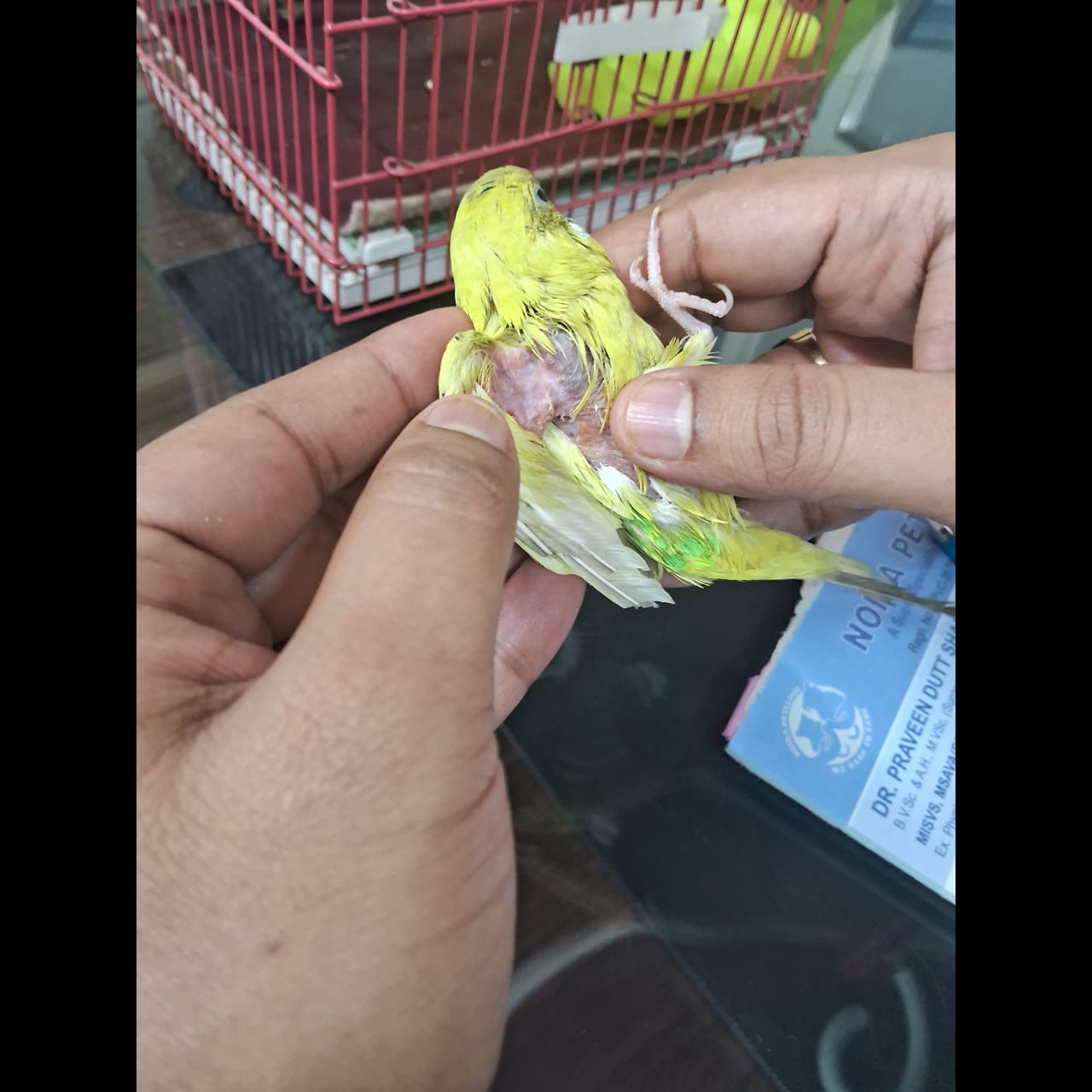 update image
