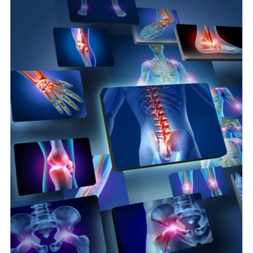 Orthopedic Services in Rasta Peth, Pune for Bon... main image