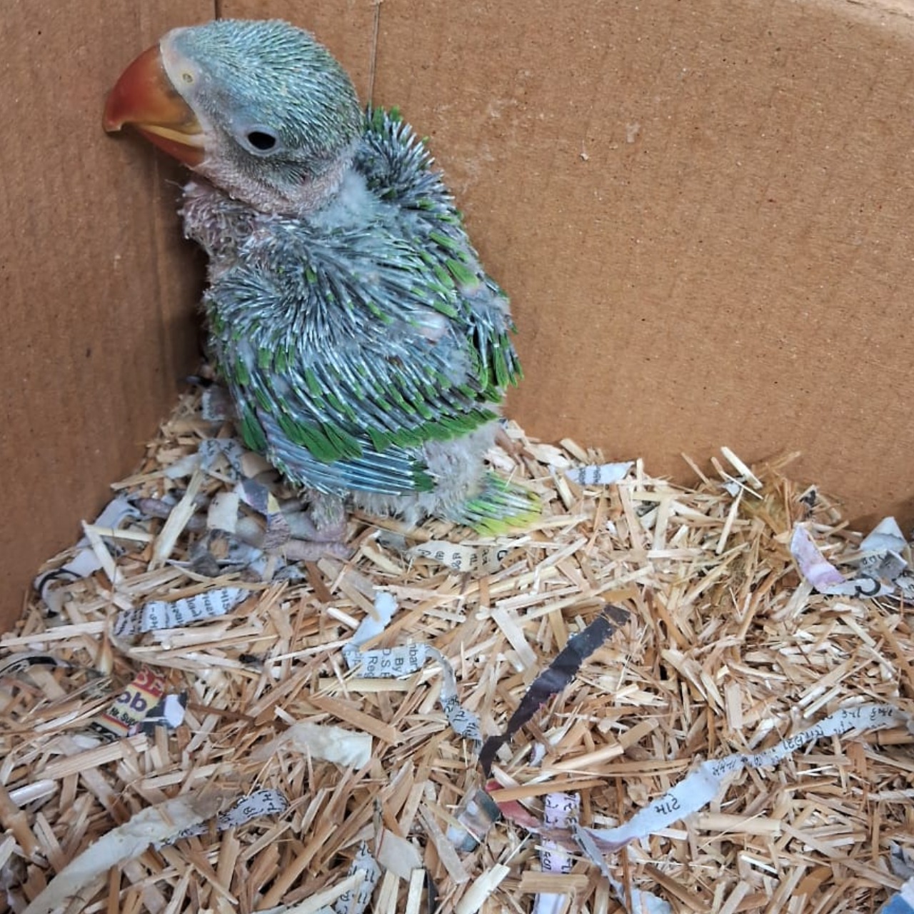 update image