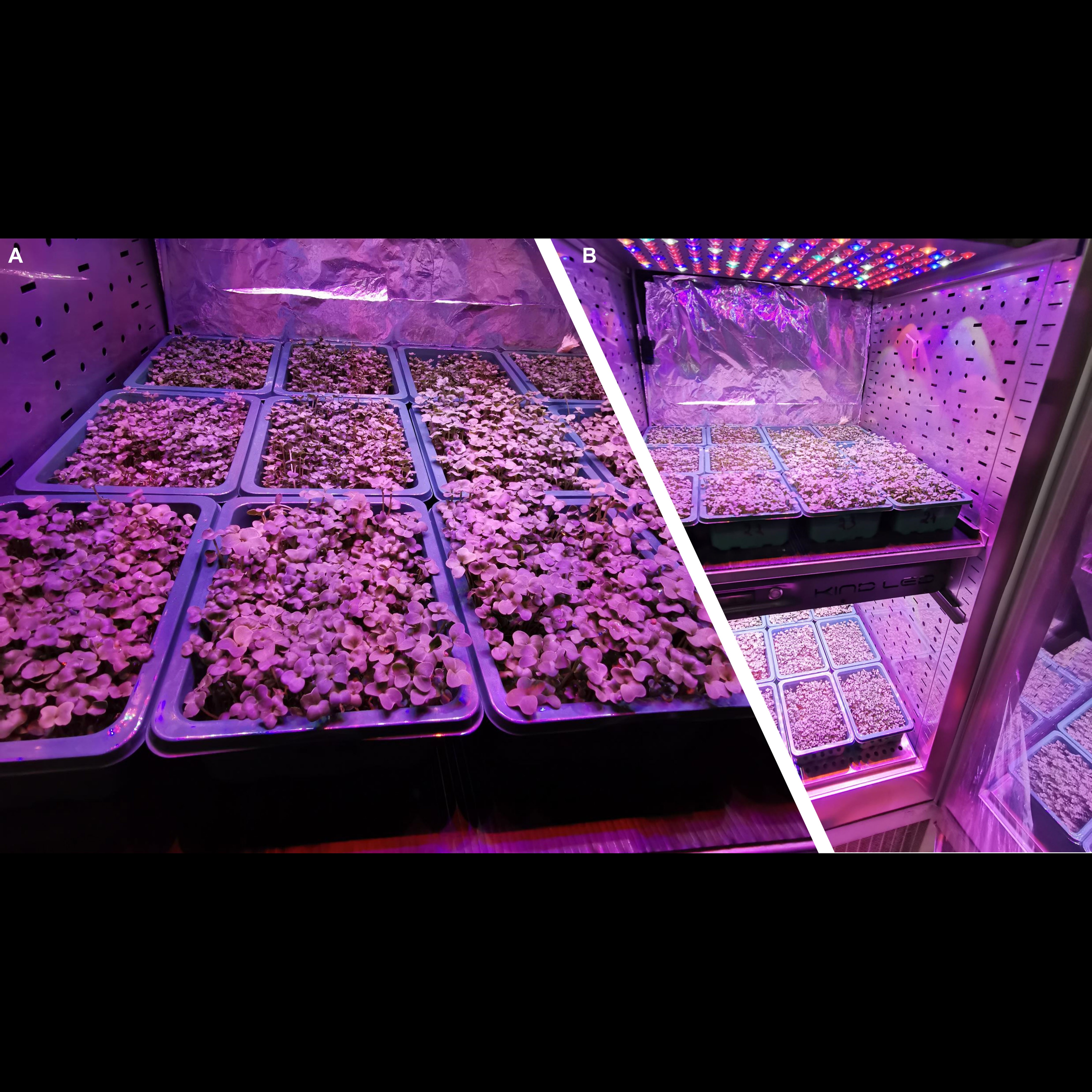 update image