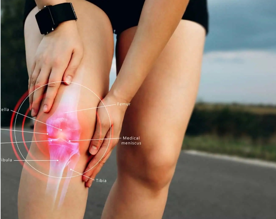Guide to Knee Joint Anatomy The knee is the larges... main image