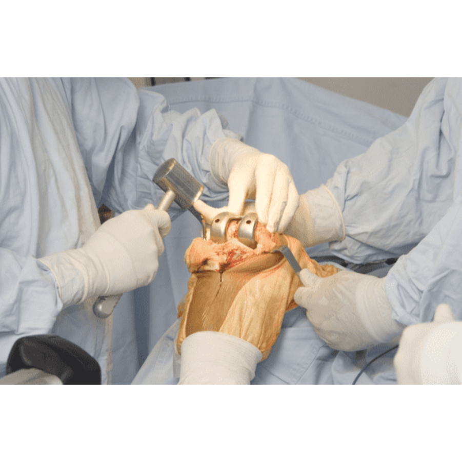 Best knee Replacement Surgeon in Gaur City 2  main image