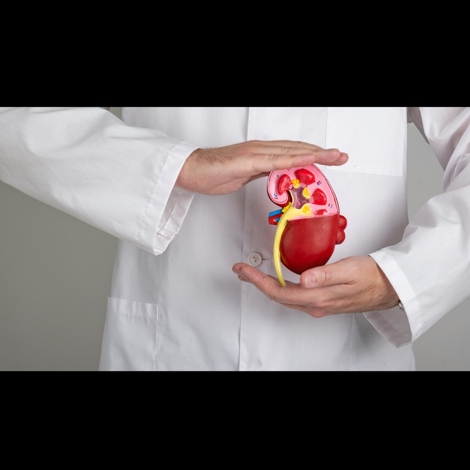 Top Kidney Specialist in Rajapark, Jaipur – Rel... main image