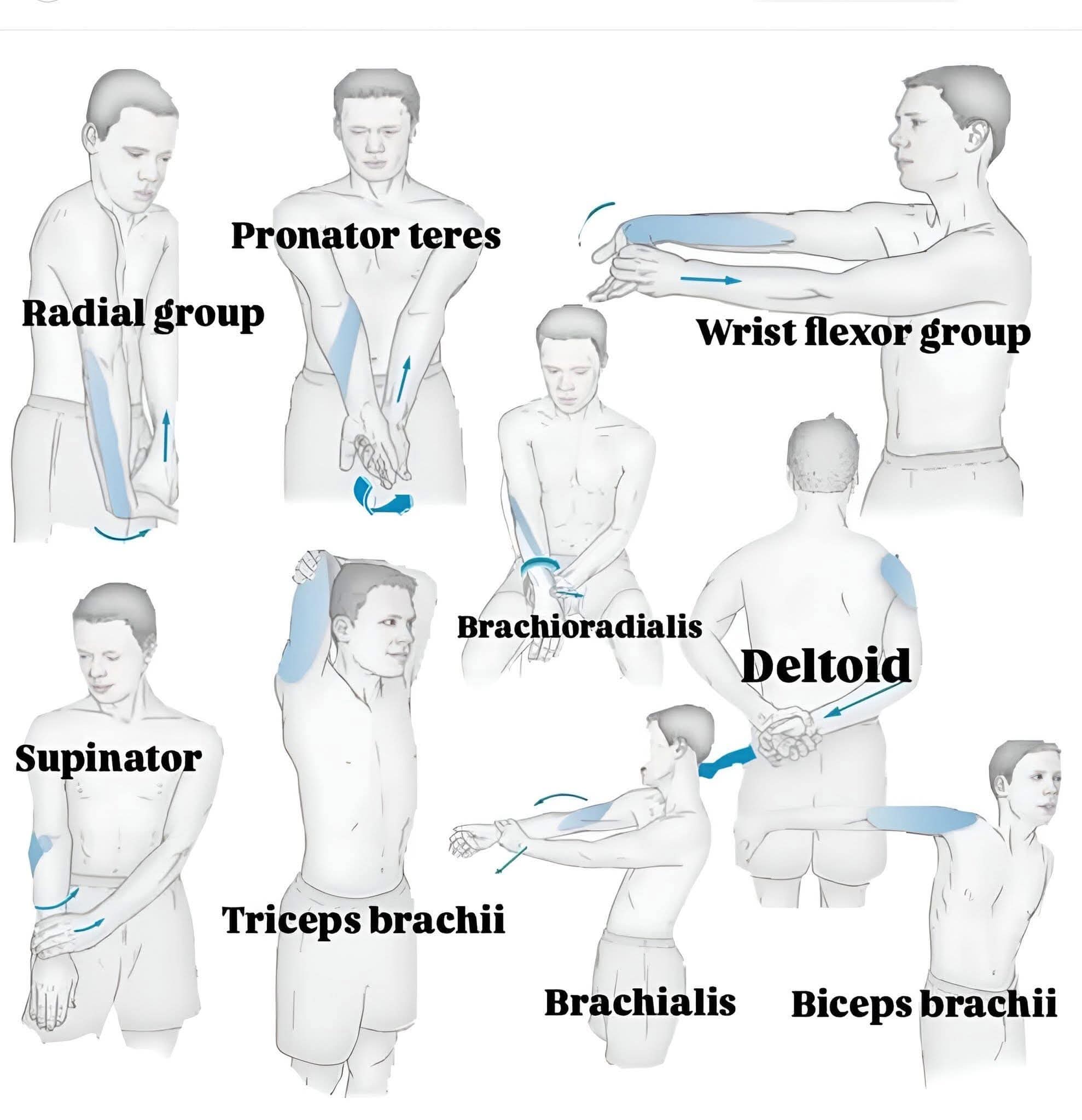 The Power of Stretching Exercises: Boost Flexibili... main image