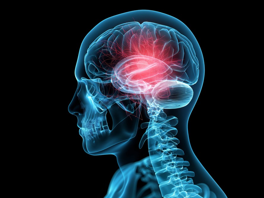 Neurosurgeon in Jaipur for Complex Brain and Spine... main image