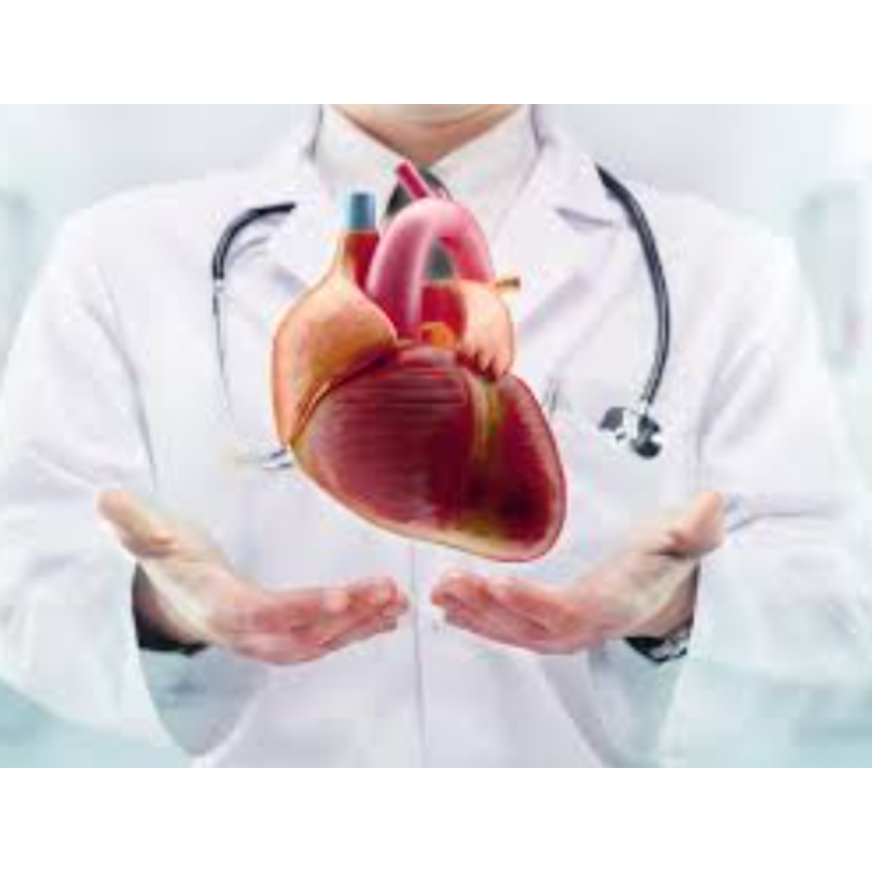 Cardiology Services in Kalyan East for Heart He... main image