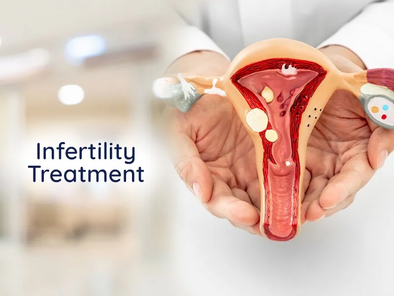 Ayurvedic Infertility Treatment in Nashik – A Holi... main image