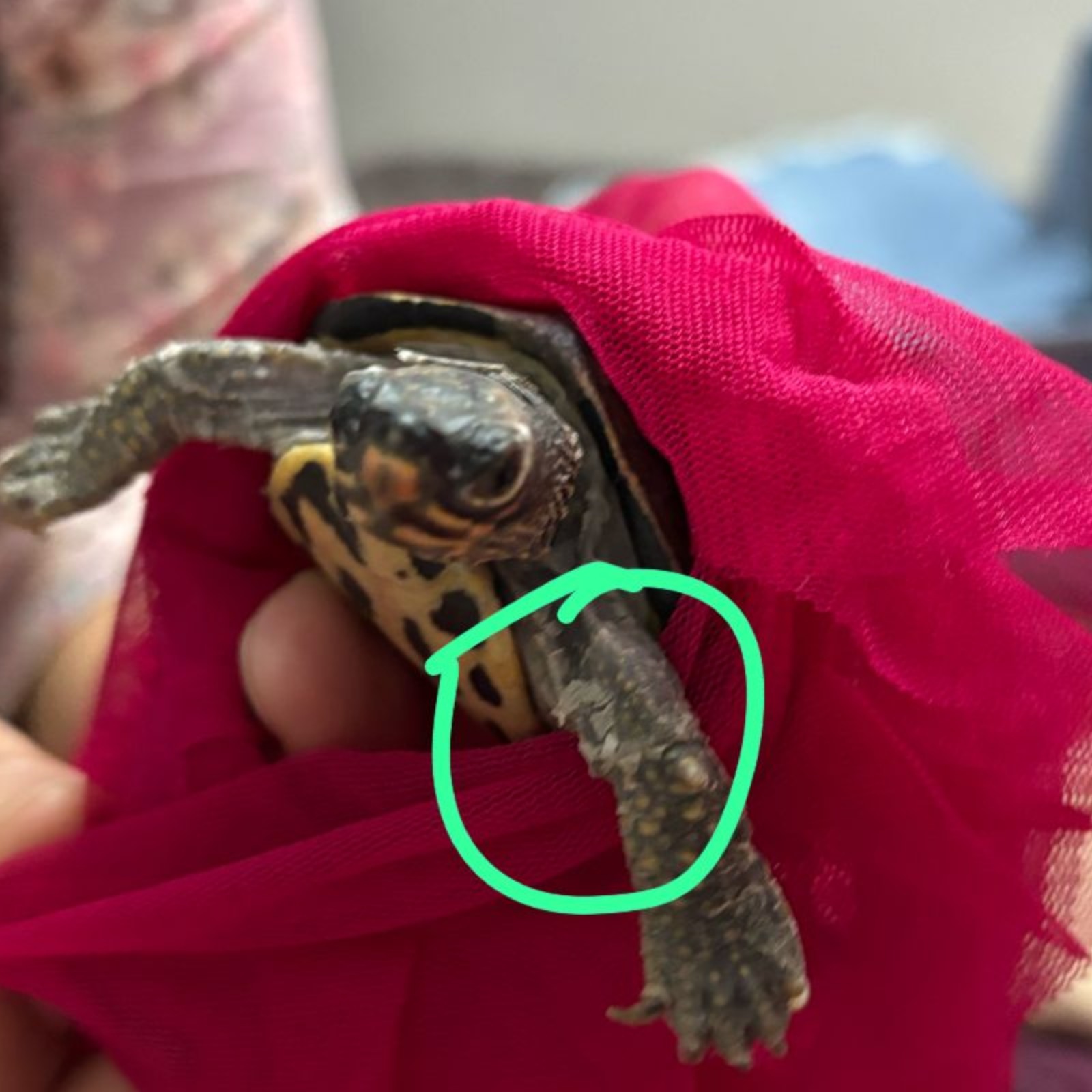 update image